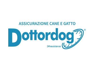 dottordog